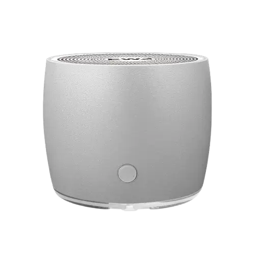 EWA A103 Bluetooth Speaker Silvar Color